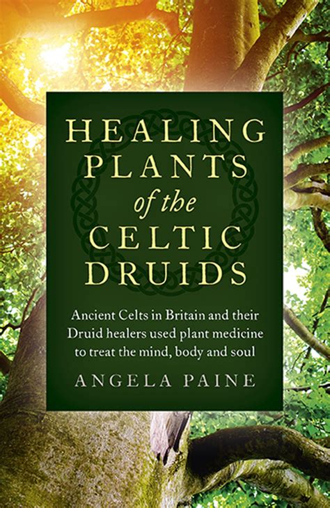 The Symbolic Importance of Trees in Druidism and Paganism